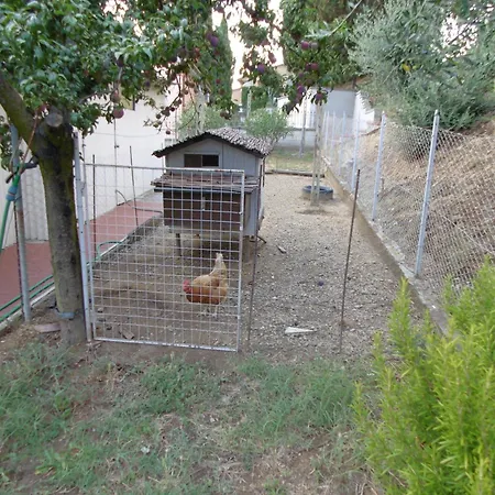 Casa Domenica Arezzo
