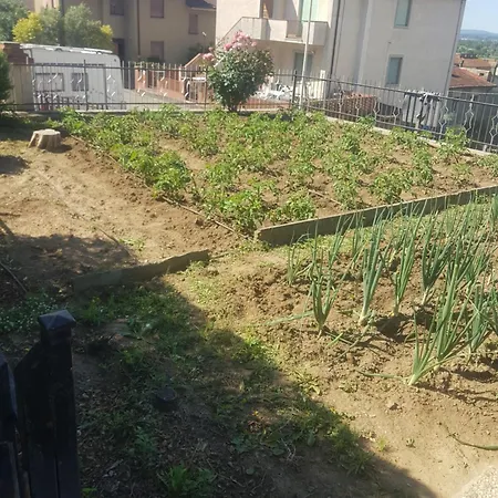 Apartament Casa Domenica Arezzo